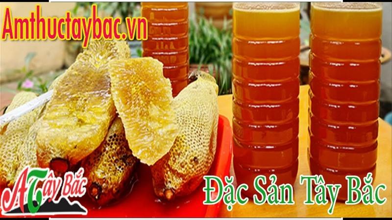mật ong rừng Tây Nguyên