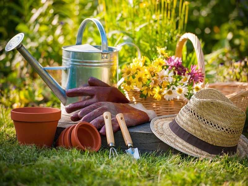 chuẩn bị dụng cụ chiết cành